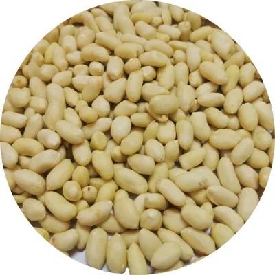 Wholesale Seller Blanched Peanuts With Fresh Quality & Customized