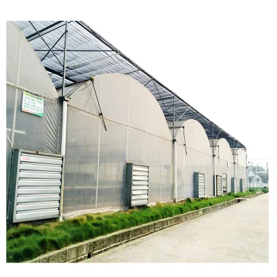 Best Greenhouses for Cold Climates Greehouse Manufactures Polytunnel Plastic Australia
