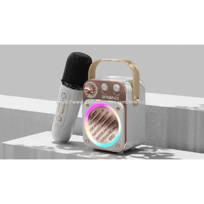 OEM Shenzhen Factory Portable Microphone Karaoke Bluetooth Speaker With Single Double Microphone