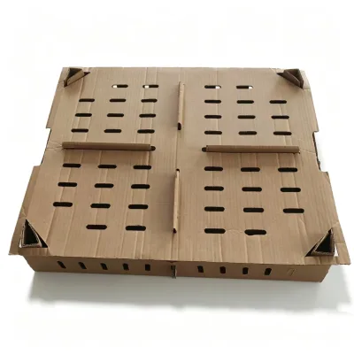Poultry Day Old Chicks Boxes Punched Carton Chick Transport Box Chickens Cage