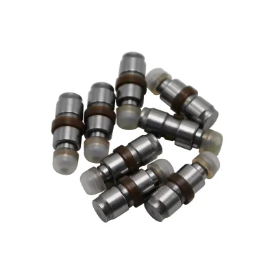 Genuine Exhaust Hydraulic Camshaft Follower Valve Lifter for BMW E66 E70 X5 11337605330 P/N 4200236100