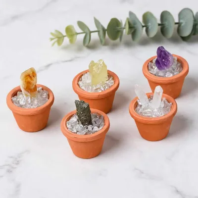 Hot Sale Natural Crystal Raw Stone Healing Mineral Garden Decoration DIY Potted Plants Office Desk Ornaments
