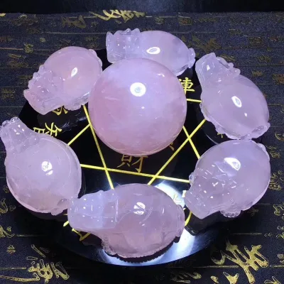 Hot Sale Customized Dragon Turtle on Sale