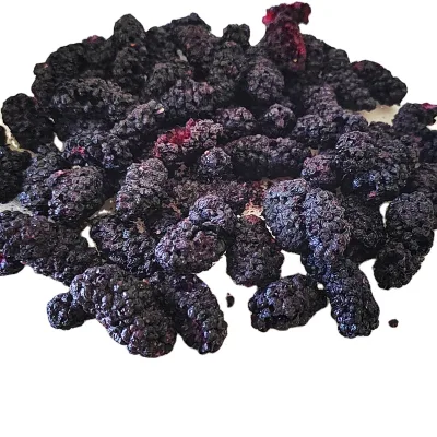 China Natural Dried Fruit Mulberry Wholesale Frozen Dried Mulberries for Snacking and Baking