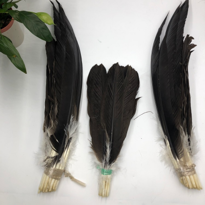 Wholesale Feather for Two Side wings and Whole Tail Feathers for Arts and Crafts ,a Set (about 72pcs) of Eagle Feather