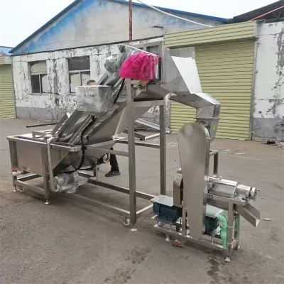 Commercial 1-ton grape juicer, large industrial stainless steel pear press