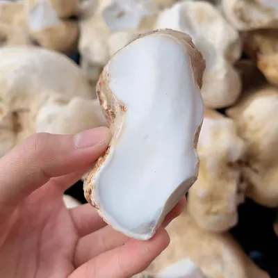 High Quality White Jade Raw Stone Natural Jade Crystal Rough Stone for Processing