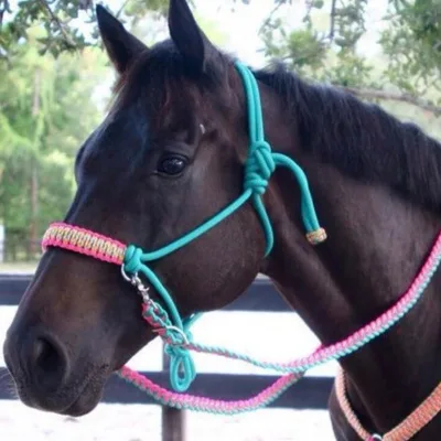 2025 Custom Rope Halter Side Pull Bitless Bridle Rope Halter Horse Adjustable Halter