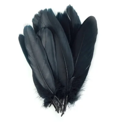 Black Goose Nagoire Loose Feathers for Sale Buy Goose Feathers