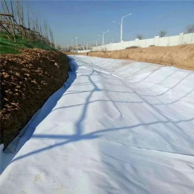 Factory Direct Sale Polyester and Polypropylene Composite Geotextile PP Geotextile for Slope Protection