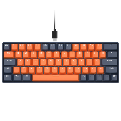 SAMA Factory 63 Keys ANSI Layout Gaming Mechanical Keyboard Type-C Teclado Clavier Gaming Plastic Wired Keyboards