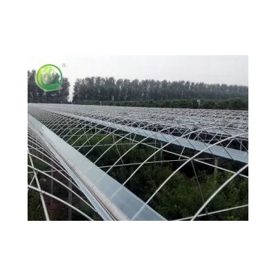 Jiapei Galvanized Structure Plastic Tunnel House China Multi Span Low Tunnel Greenhouse for Sale