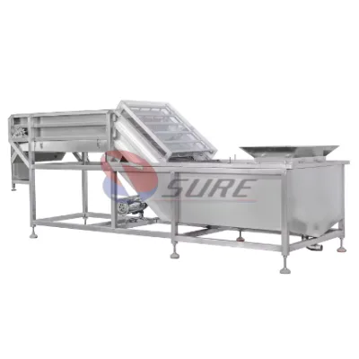 Ice Glazing Machine Shrimp Ice Glazing Machine Vegetable Ice Glazing Machine