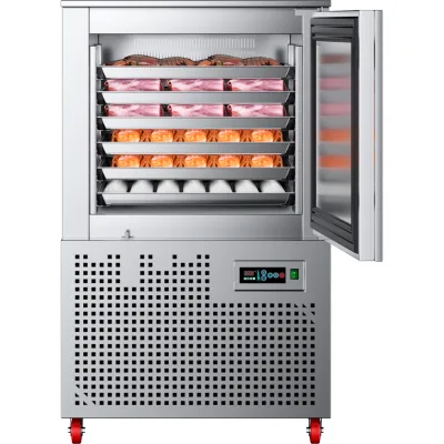 China Factory Cheap Price Commercial Fast Freezing 220L -40 Small Refrigeration Machine 1 Door Blast Chiller Shock Freezer