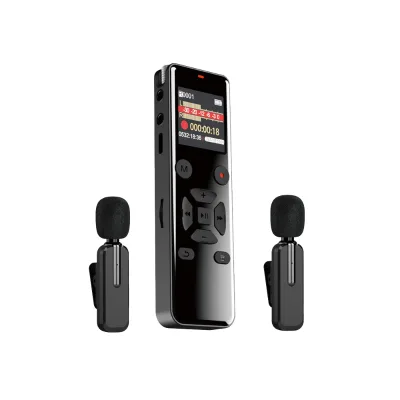 Hot Selling Microphones Recording Device Tape Portable Noise Reduction Digital Voice Recorder with Music Playback