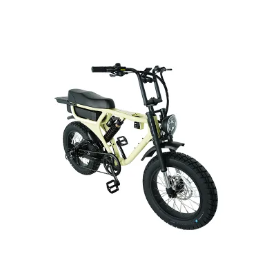 500w 750w 1000w Retro Electric Bicycle, 48V 20AH 25AH Waterproof Beach Bike, Adult Leisure Bike, 60km Range