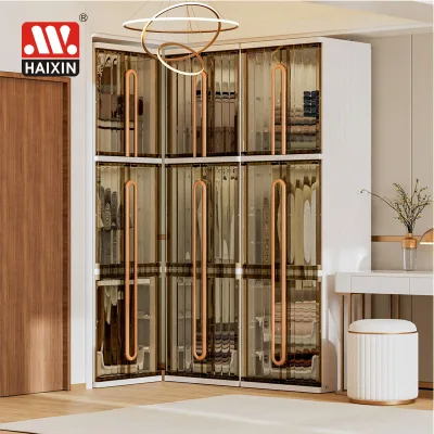 Haixing New Item Plastic Wardrobe Organizer Portable Wardrobe Foldable Cabinet Closet Storage Organizer for Clothes Adult