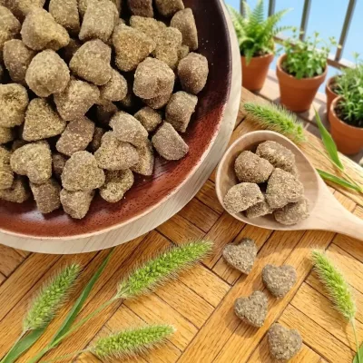Premium Skin and Coat Lecithin for Dogs and Cats Good Quality