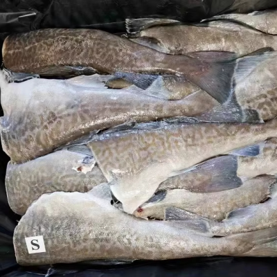 High Quality Frozen Cod Skin