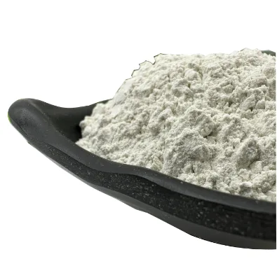 Cosmetic Grade Bentonite Clay Powder for Water-based Paint Manufacturer Supply