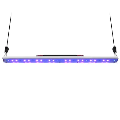 30W UVA UVB Light Improves Efficiency of Overall Spectrum Like a Amplifiers for Plants Grow Can Used with Bav Ugreen 240W