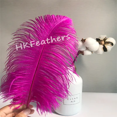 Various Colours Dyed Feather Top Level Quality 35-40CM Ostrich Feather for Costume Accessories and Wedding Decoration