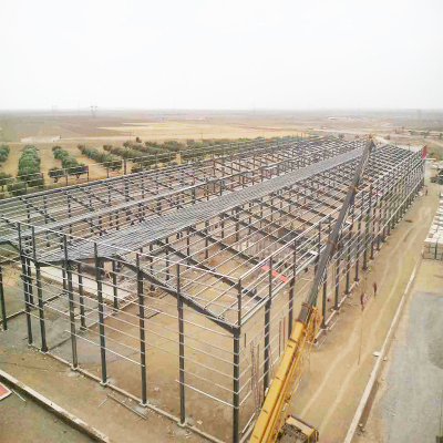 Light Steel Structure Houses,  Steel Structure Apartments,  Steel Structure Buildings