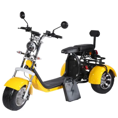Hot Selling Warehouse Eec Adult Three Wheel Bicycle Lithium Battery 60V 20Ah 2000 w Tricycle 3 Wheel Electric Scooter Citycoco