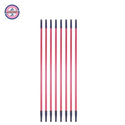Paint Roller Extension Pole Telescopic Pole Handle with Good Price