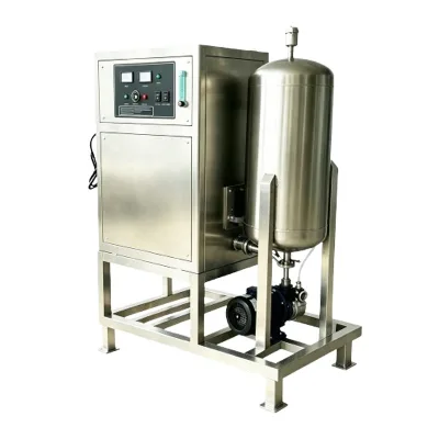 Commercial 15g/h Air-cooled Stainless Steel Ozonated Water Machine for Hotel & Restaurant Water Sterilization