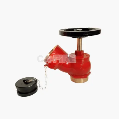Red Painted BS Type DN50 DN65 Indoor Landing Valve With Nameplate for Building Fire Protection