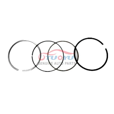 Auto Engine Piston Rings Assembly 036107065ET 036107065EM CFN 1.6 036107065DB Piston and Ring Ki