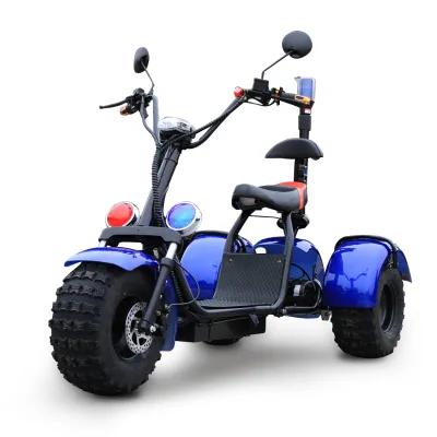 Cheap Electric Battery Ebike 1500w Dort Bike Citycoco DG-SC09