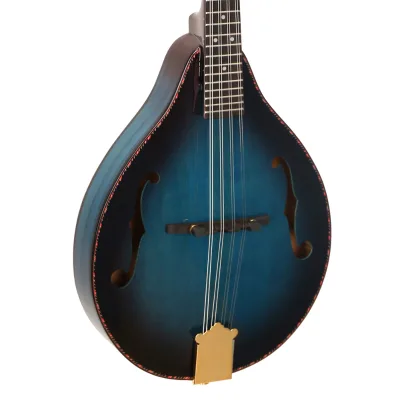 Wholesale 8 Strings Banjo Hot Sale High Quality Acoustic Spruce Top Rosewood Fingerboard Gloss Finish
