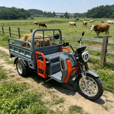 Multi Functional Electric Cargo Tricycle Long Range Factory Direct Electric Cargo Tricycle for Agriculture Use