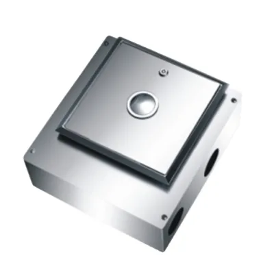 Concealed Install Wall Mounted Flush Valve Toilet Push Button Self-Closing Toilet Flush Valve