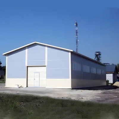 Building Material Customized Prefabricated Steel Structure Prefabricated Prefab Hall Building Steel Structure
