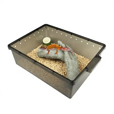 Black or Transparent Eco-Friendly Plastic Snake Rack Tub for DIY Reptile Breeding Racks
