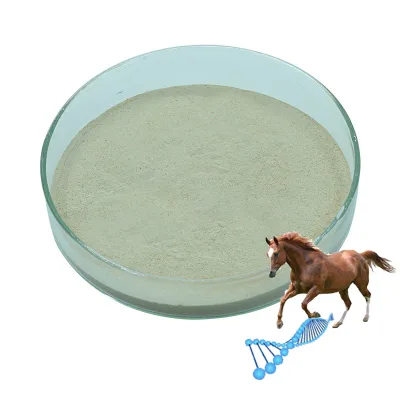 Dairy Premix Anti Mycotoxins in Poultry
