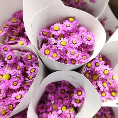 Wholesale Dried Bird Flowers Bouquet Natural Rudan Bird Flowers Real for Wedding Decoration