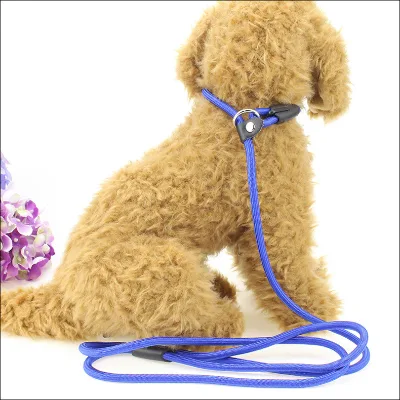 Durable Dog Rope Leash 10mm Climbing Rope Lead Dog Leash for Walking Dog
