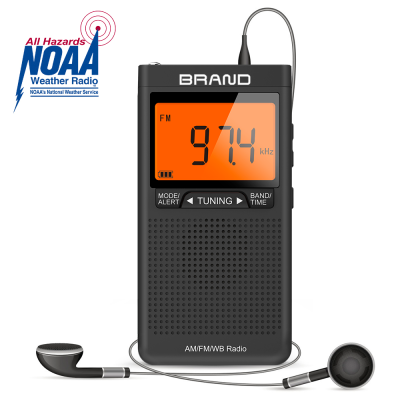 Silver Portable Radio Am Fm Digital Portable Radio in Japan