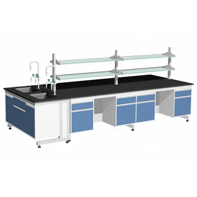 Customized School Science Chemistry Biology Laboratory Workbench with Sink