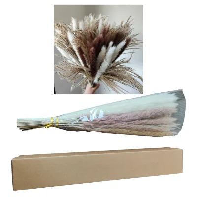Natural Dried Flower Pampas Grass Real Cotton Boho Preserved Mixed Bouquet Home Decoration Hot Product Valentine's Day