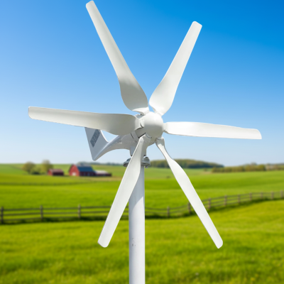 Environmentally Friendly 800w 220v Wind Turbine for Farm Farm Use Wind Power System Rural Areas