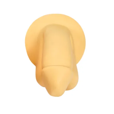 High Quality 3D Male Genital Piercing Practice Model External Genitalia Model Mannequin Training Model