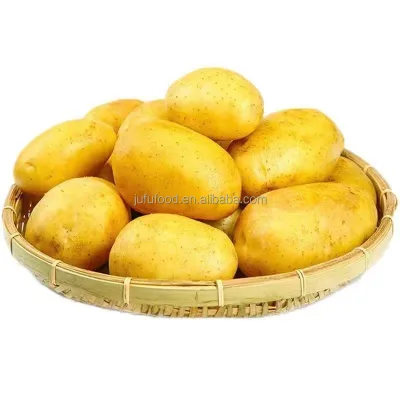 2024 Potato Export China High Quality Fresh Vegetables Kentang Potatoes for Sale