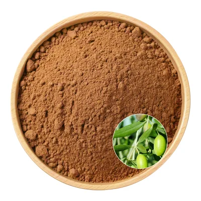 Natural Olive Leaf Extract Powder Plant Olive Leaf Extract in Bulk Olive Leaf Extract Powder