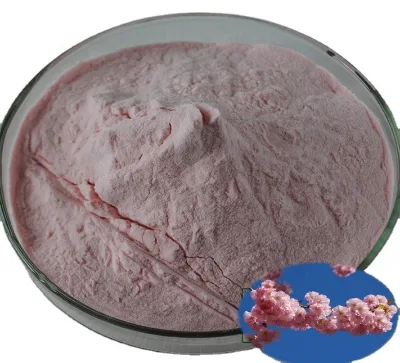 Cherry Blossom Powder UV Detection of High Quality Cherry Blossom Extract