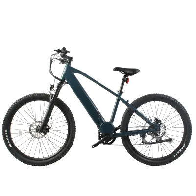 29 Inch Mtb Electric Bike 48V 750w Mid Motor 48V10Ah Battery Hydraulic Disc Brakes